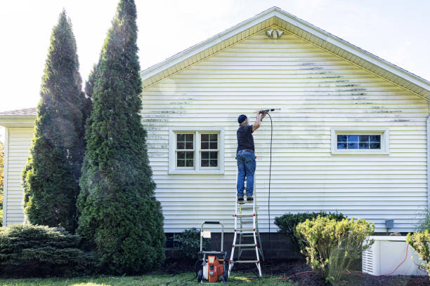 Best Deck Cleaning Services  in Burtonsville, MD