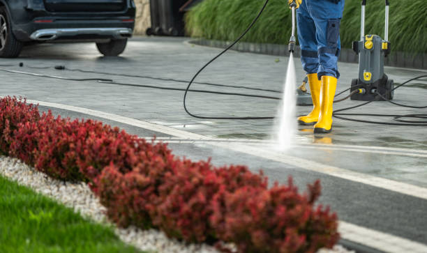 Best Roof Pressure Washing  in Burtonsville, MD