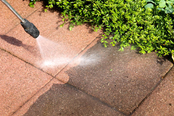 Best Roof Power Washing Services  in Burtonsville, MD